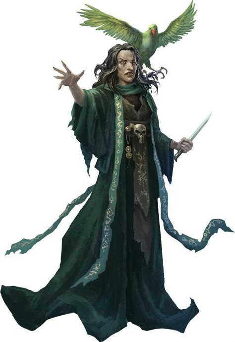 The Pathfinder Witch Familiar: A Guide for Players
